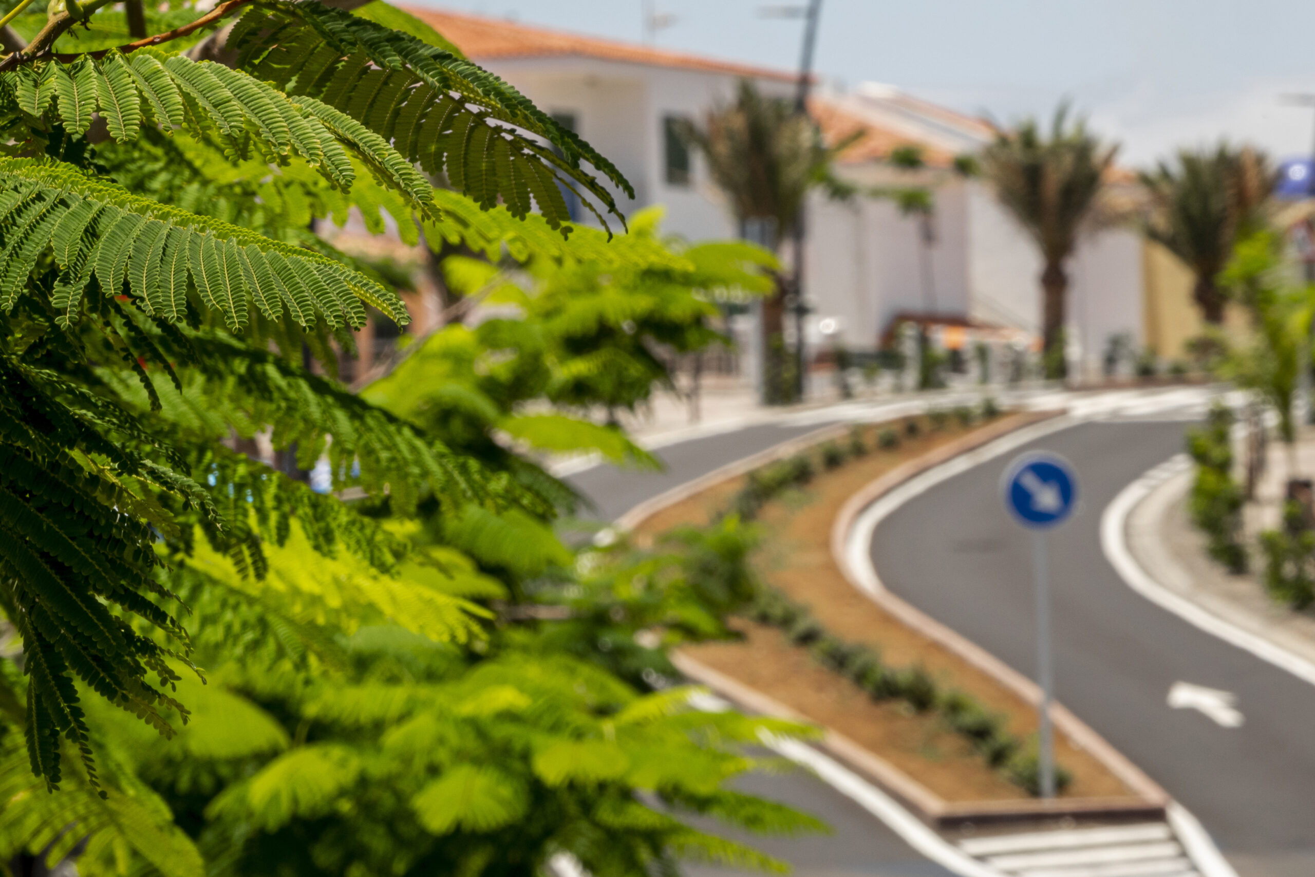 CITECED Consulting  SARL